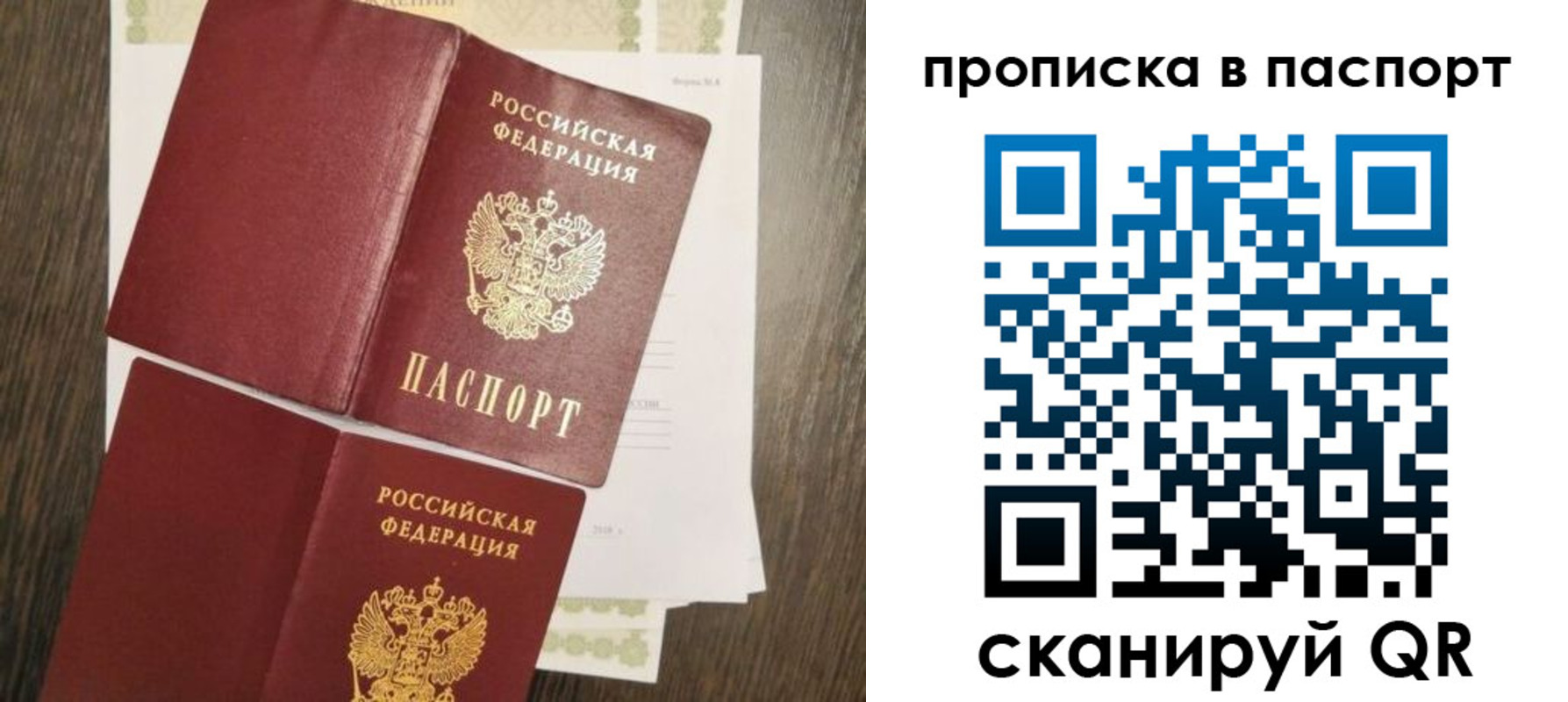 прописка гарантия в Зеленогорске