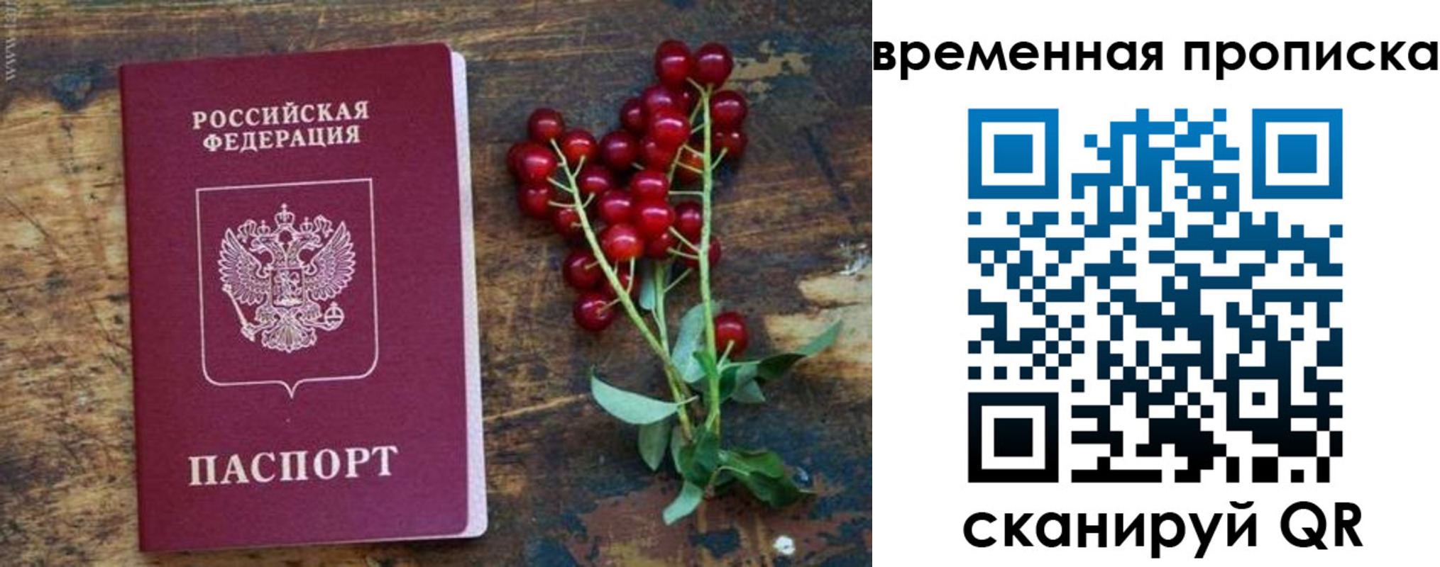 временная регистрация гарантия в Зеленогорске